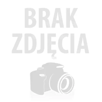 Ostnica cieniutka Pony Tails P9 – trawa ozdobna, wysokość docelowa 40–60 cm